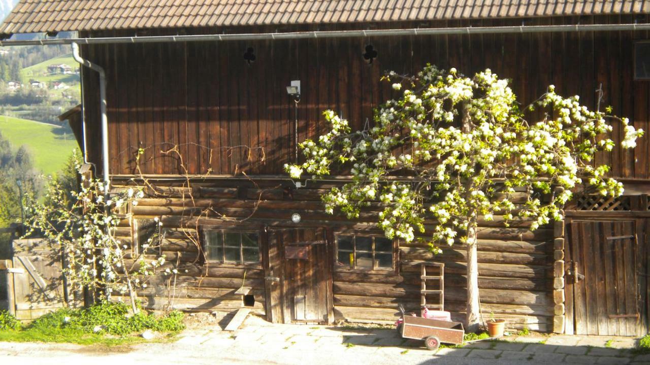 Villa Aubauer Bischofshofen Exterior foto